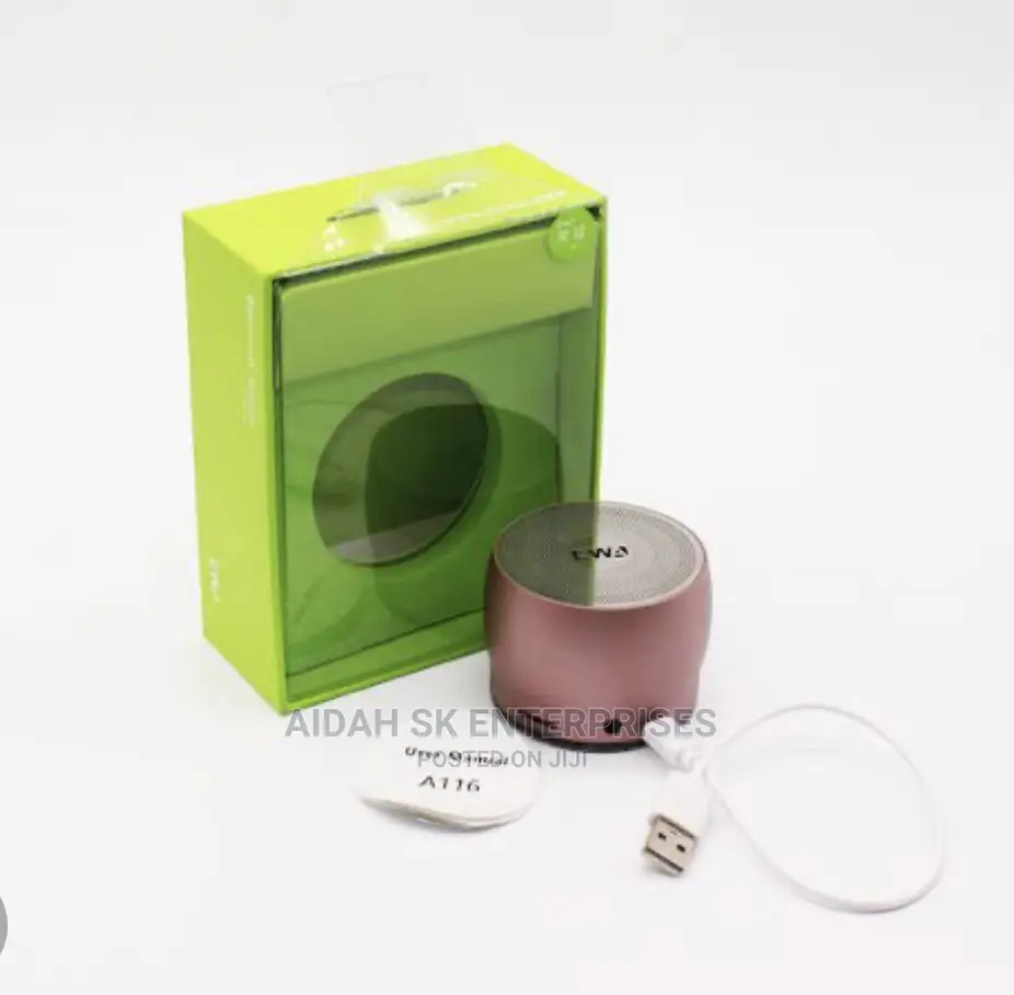 Ewa A116 Wireless Speaker