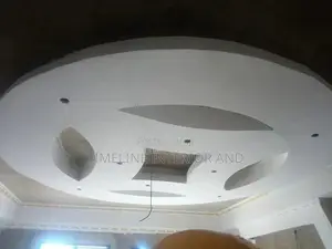 Worm Gypsum Cellings 851