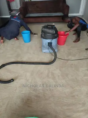 Normal Detailed Sofa and Carpet Cleaning