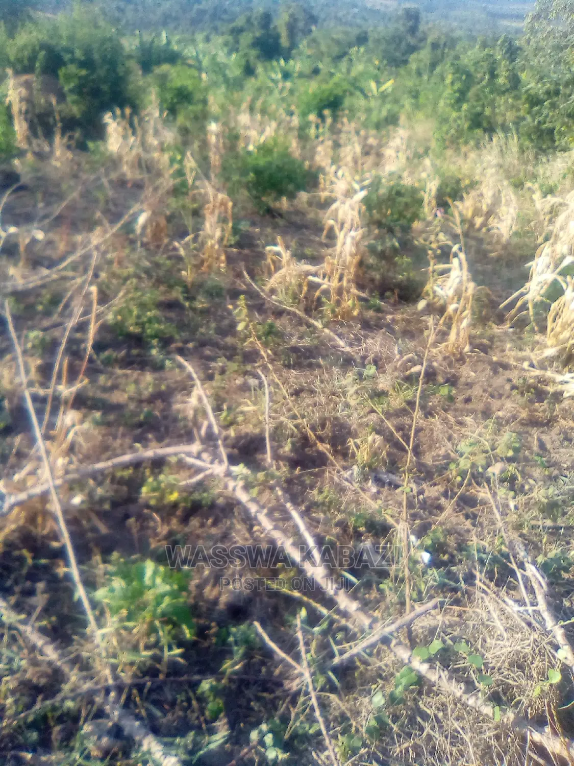 Quick Sale of Quality Land and Plots