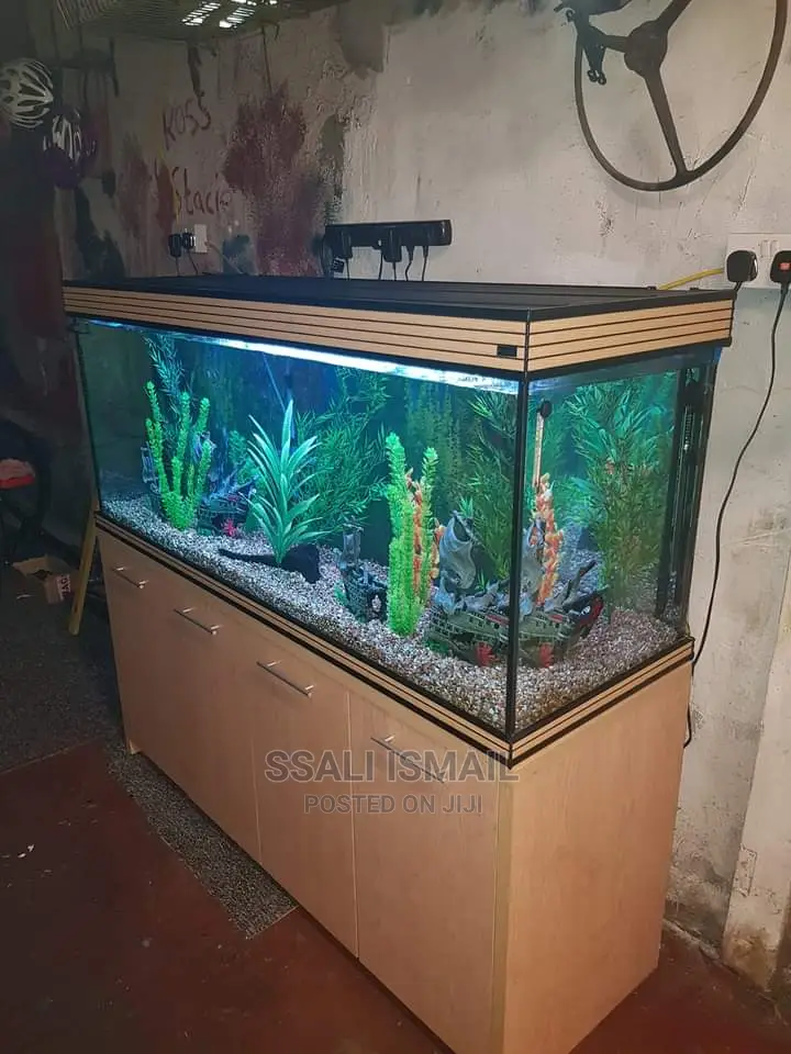 Nice Aquarium With a Very Nice Stand