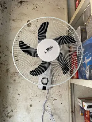 Electromaster Wall Fan