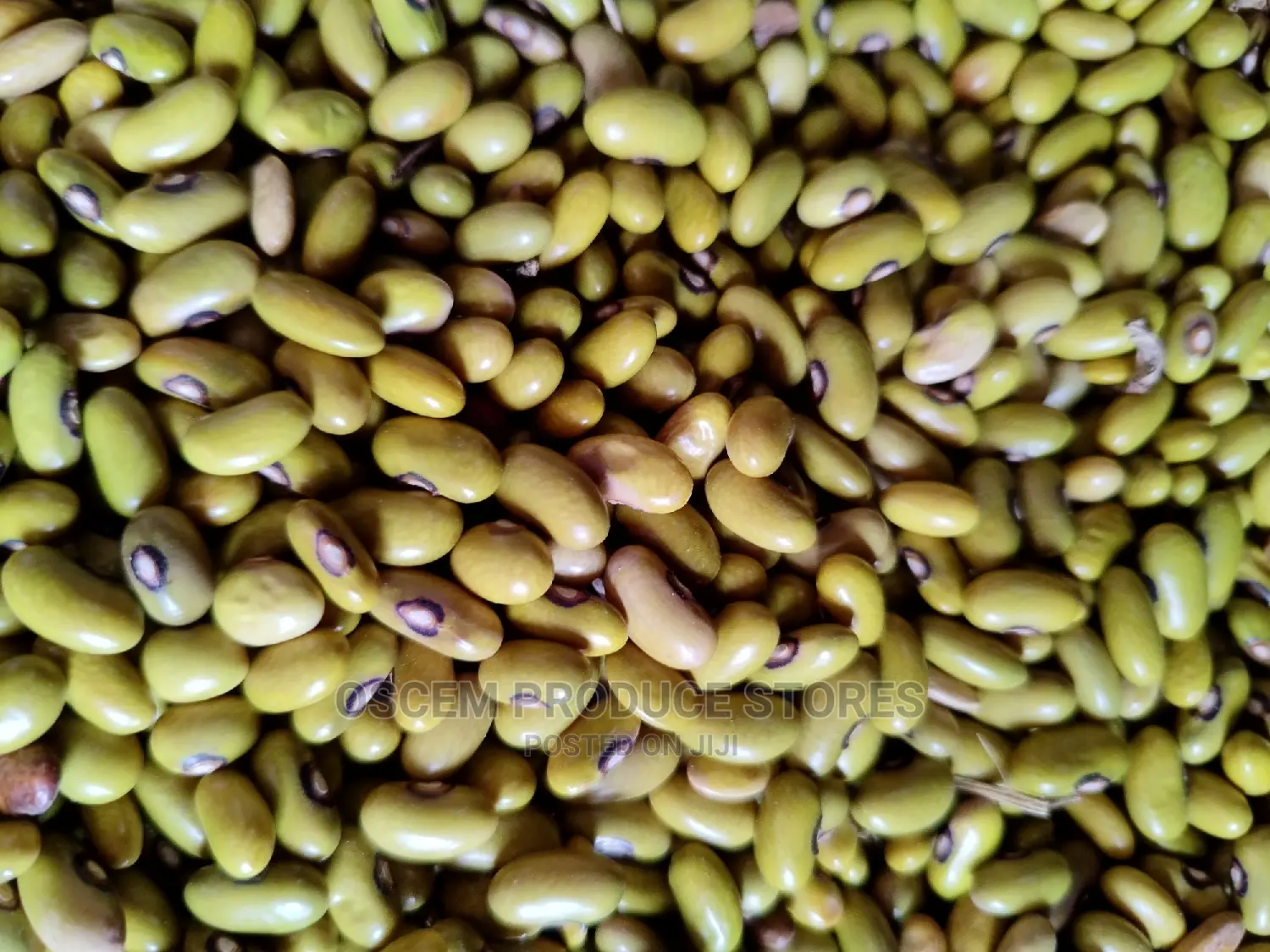 Yellow Beans