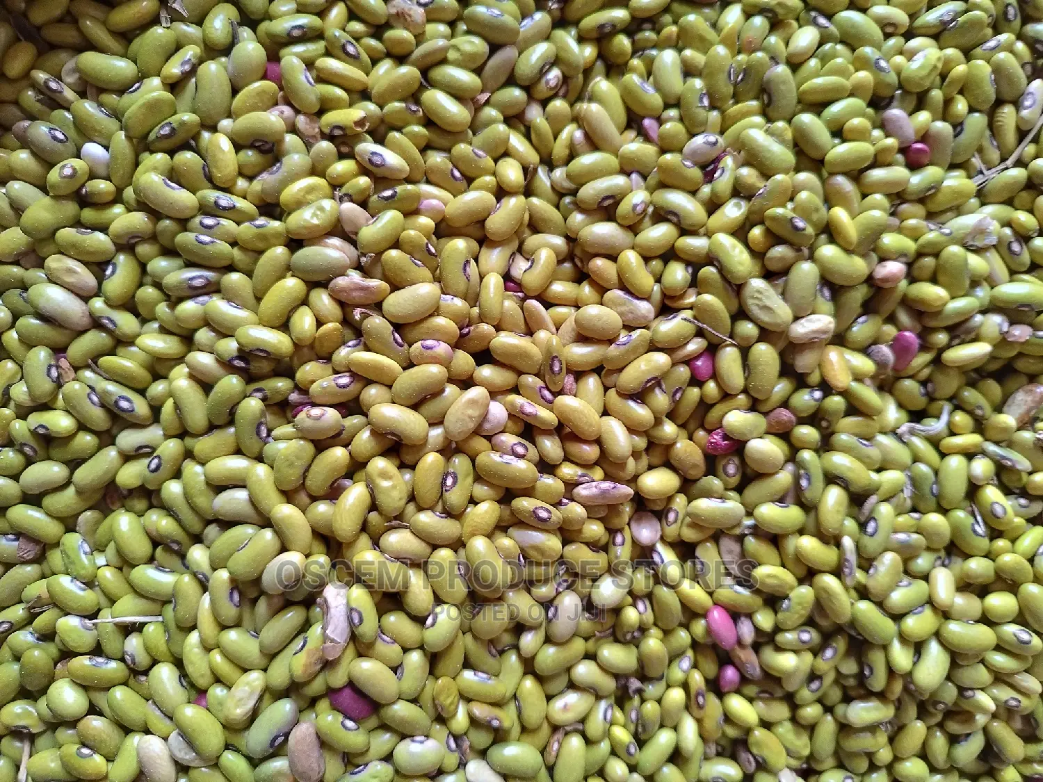 Yellow Beans