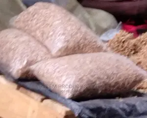 Local Mushrooms