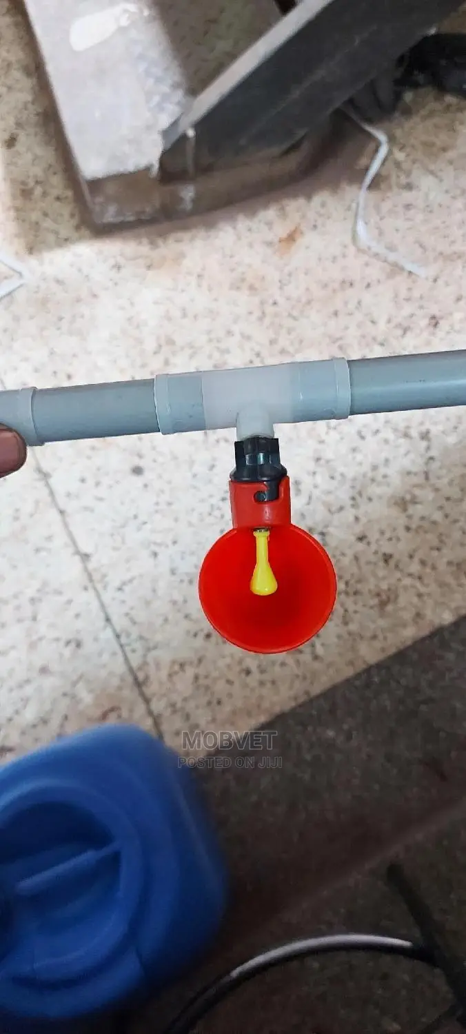 Chicken Cupped Automatic Drinker
