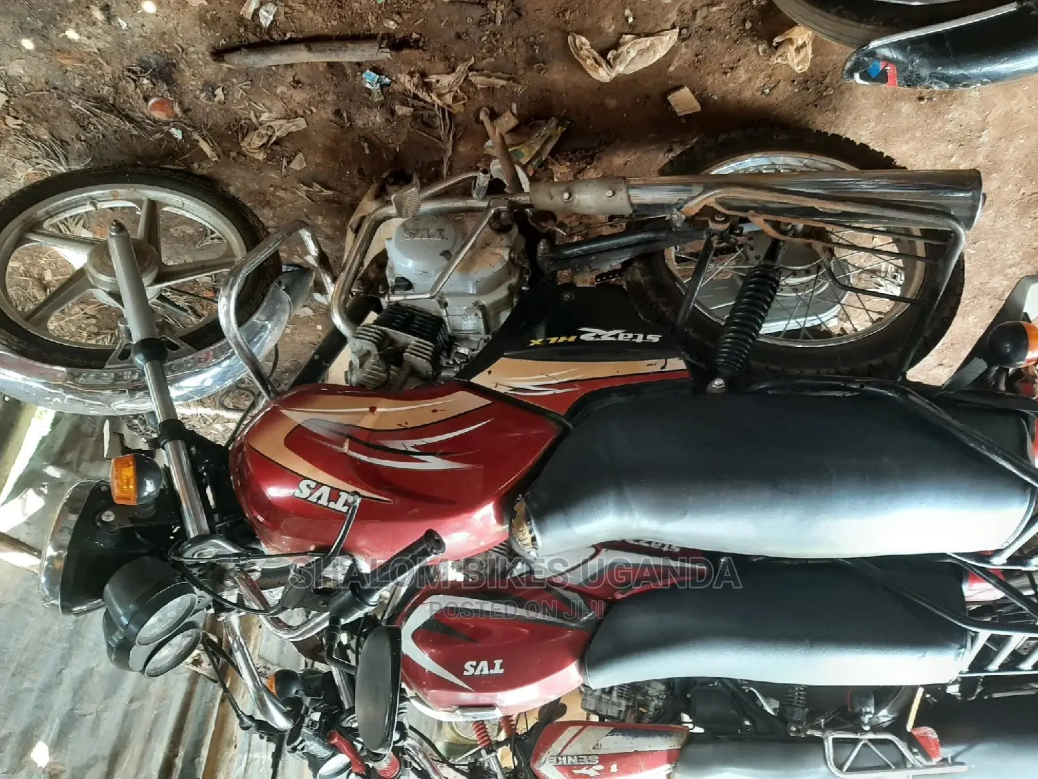TVS XL 100 2017 Purple