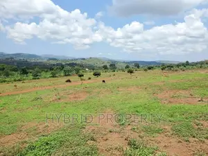 Prime Plots for Sale at Nakawuka~Katalemwa Estate~Entebbe Rd
