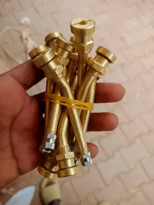 Tubless Valves