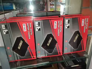 Sony Dual Charger