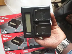Sony Dual Charger