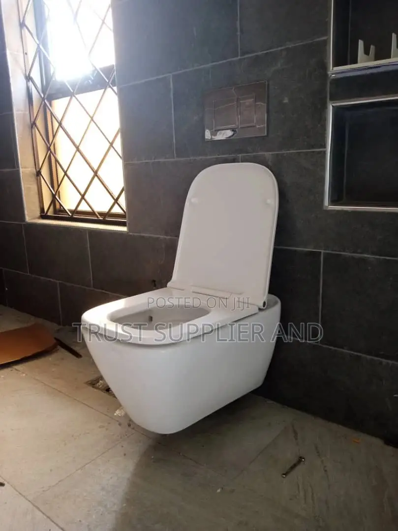 Plumbing Toilet 🪠 02