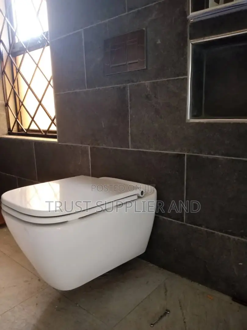 Plumbing Toilet 🪠 02