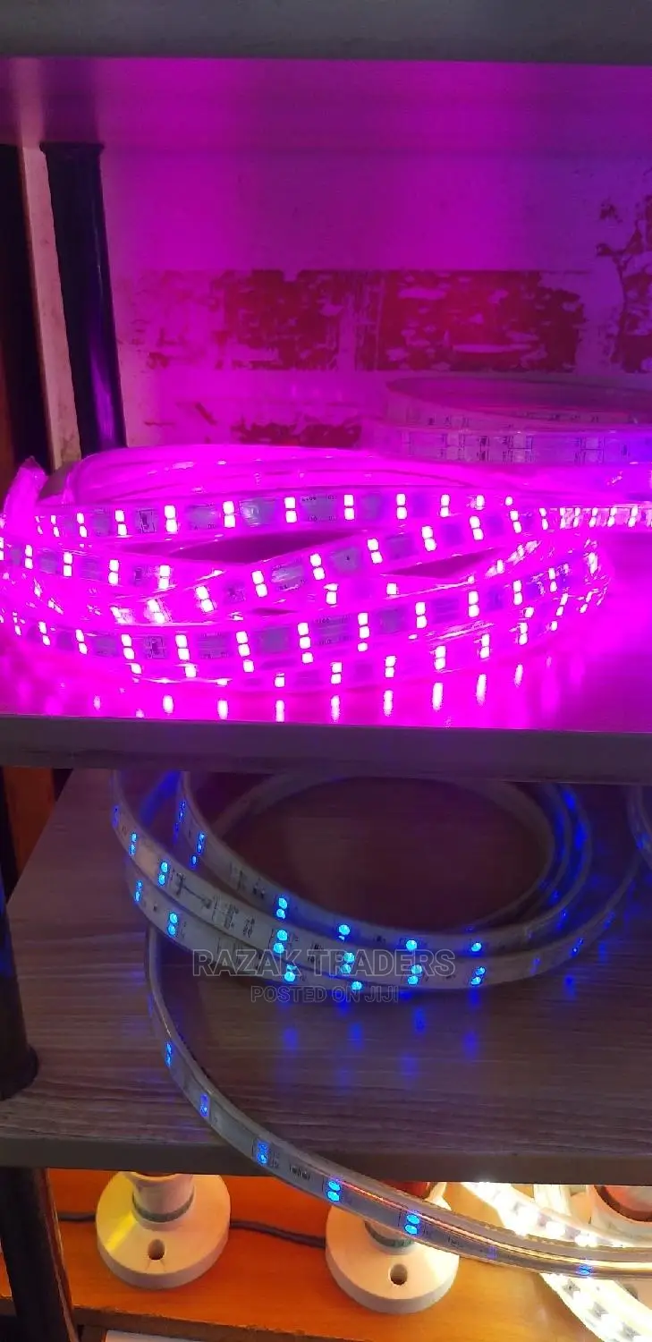 Strip Lights in Pink Colors