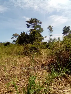 Photo - 4.5acres of Land on Sale in Jinja