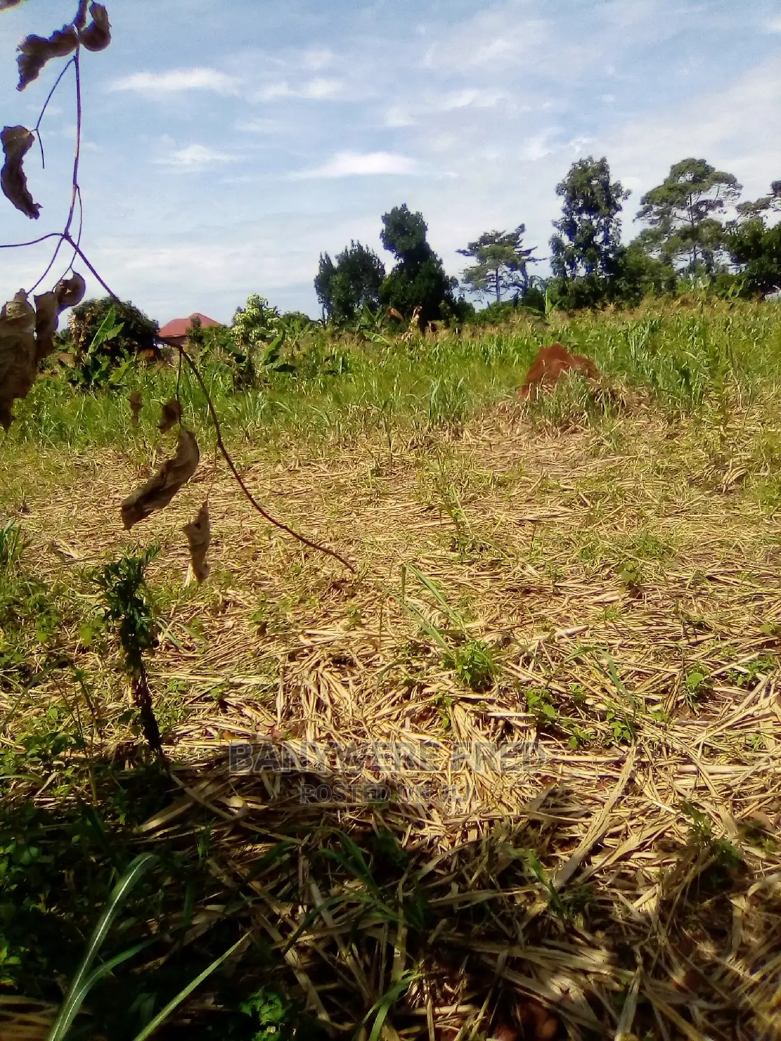 30 Acres of Land on Sale at Kagoma in Jinja in Jinja Land & Plots for