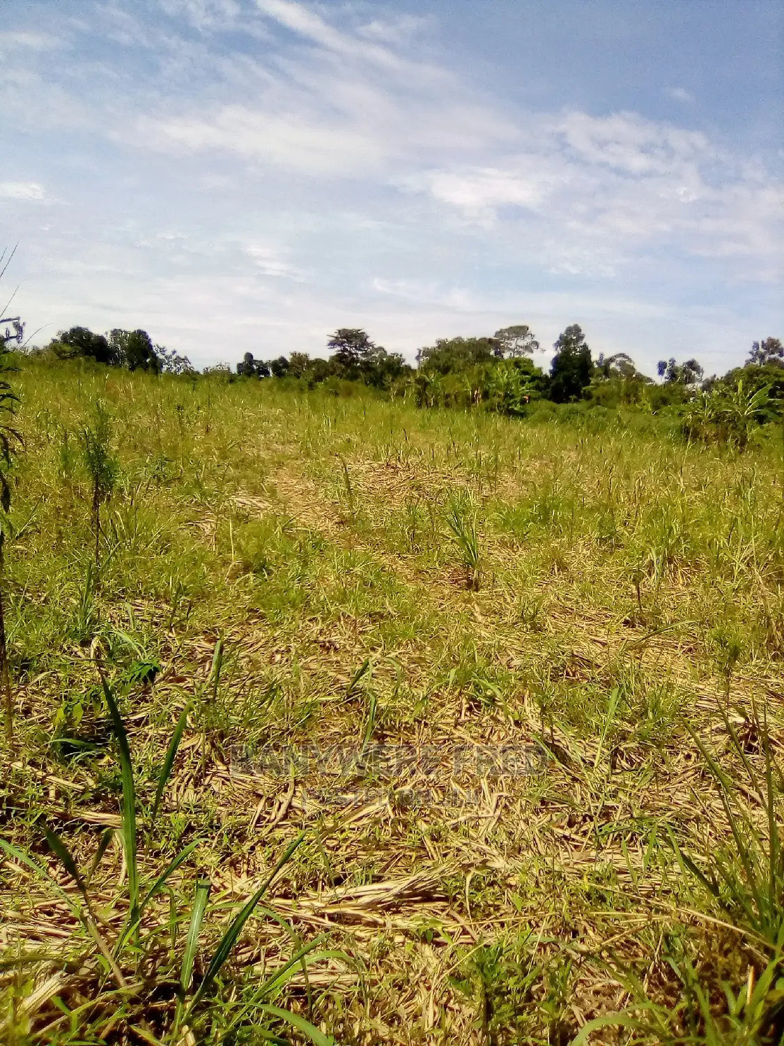 30 Acres of Land on Sale at Kagoma in Jinja in Jinja Land & Plots for