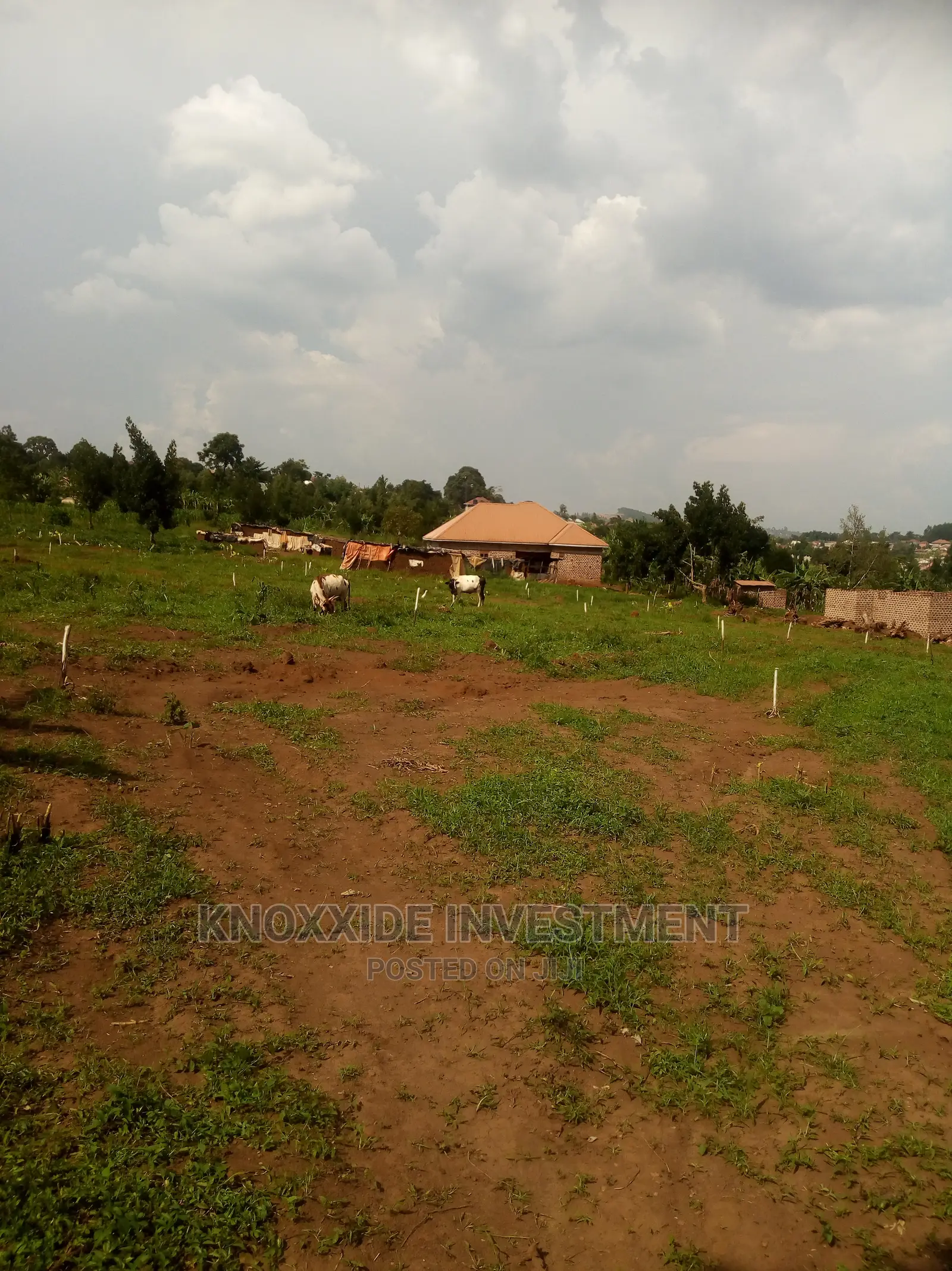 Plot for Sale 40x35ft at 12Lukwaga Town