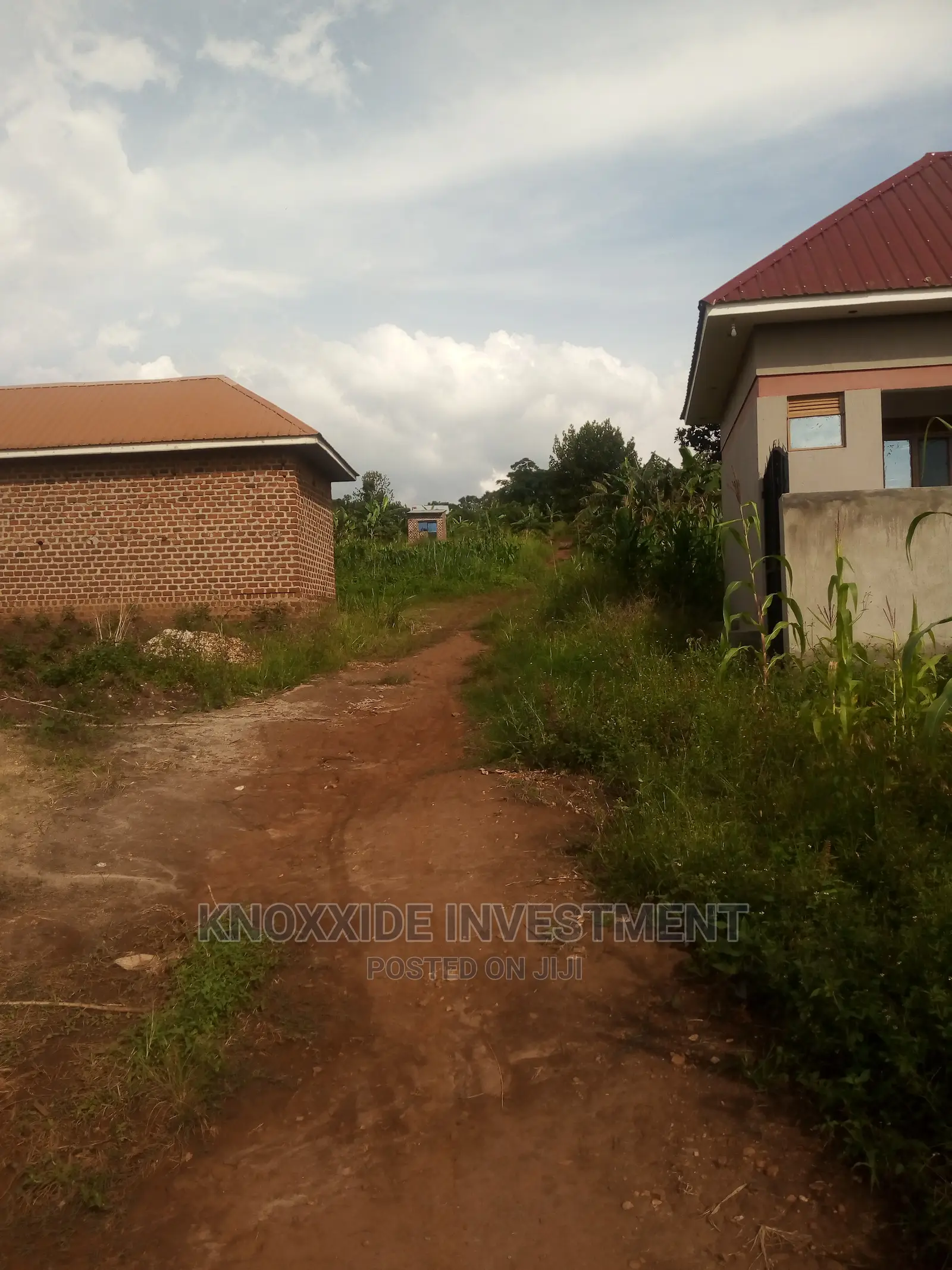 Plot on Sale 50x50ft at 20m Ugx Lukwanga Town