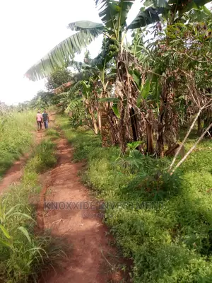 Land for Sale 25acres Busunju Town Hoima Road