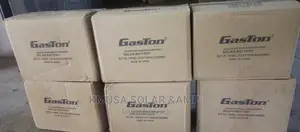 100ah Gaston Battery