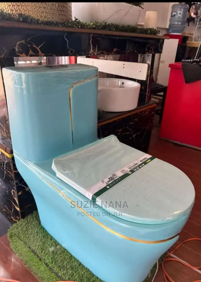 Blue Toilets in Central Division Plumbing & Water Supply, Suzie Nana