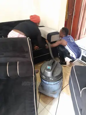 Specific Sofa Cleaning in Progress