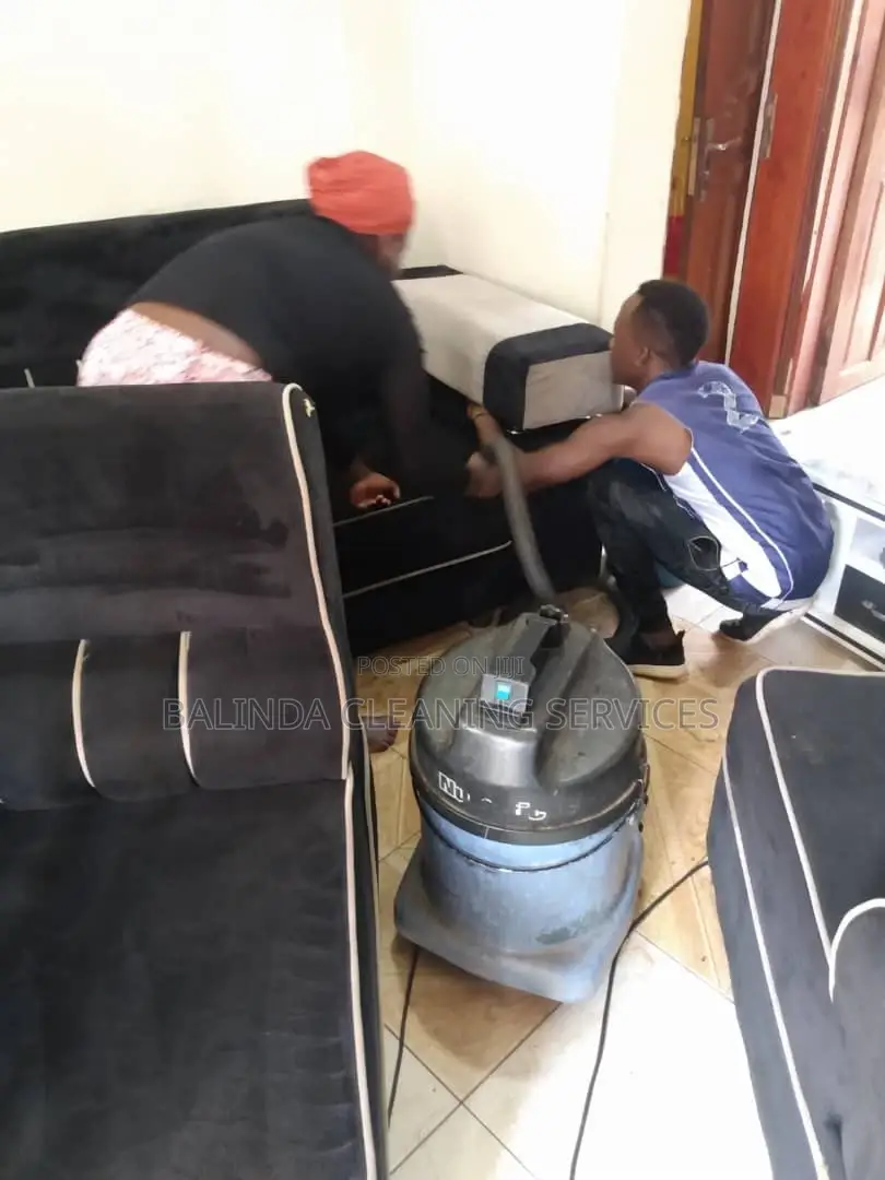 Specific Sofa Cleaning in Progress