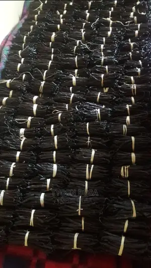 Vanilla Long Beans