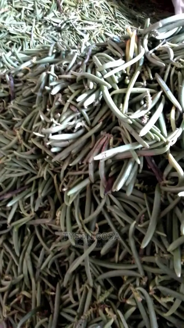 Vanilla Long Raw Beans