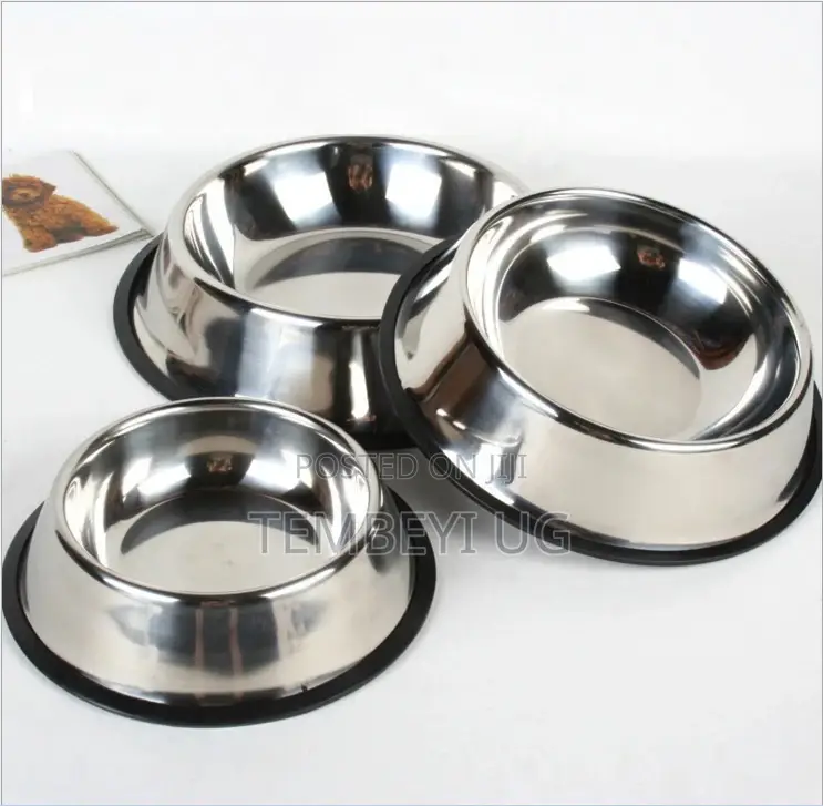 Pet Bowls for Dogs and Cats