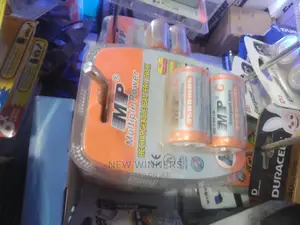 Rechargeable Battery Size D
