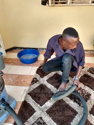 Clear Carpet Cleaning in Progress
