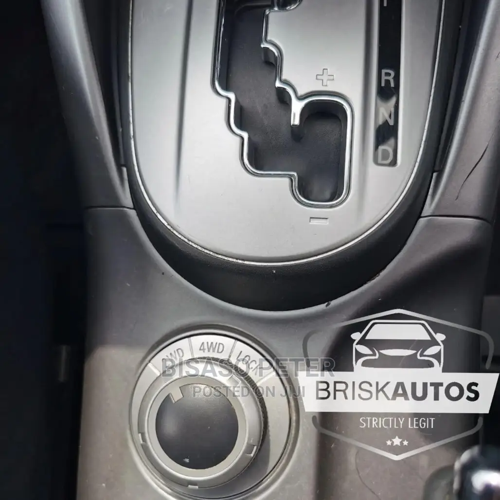Mitsubishi Outlander 2009 Gray