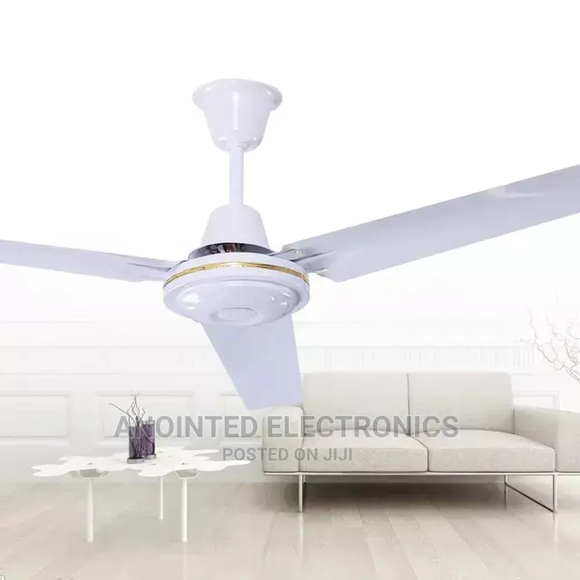 Ceiling Fans