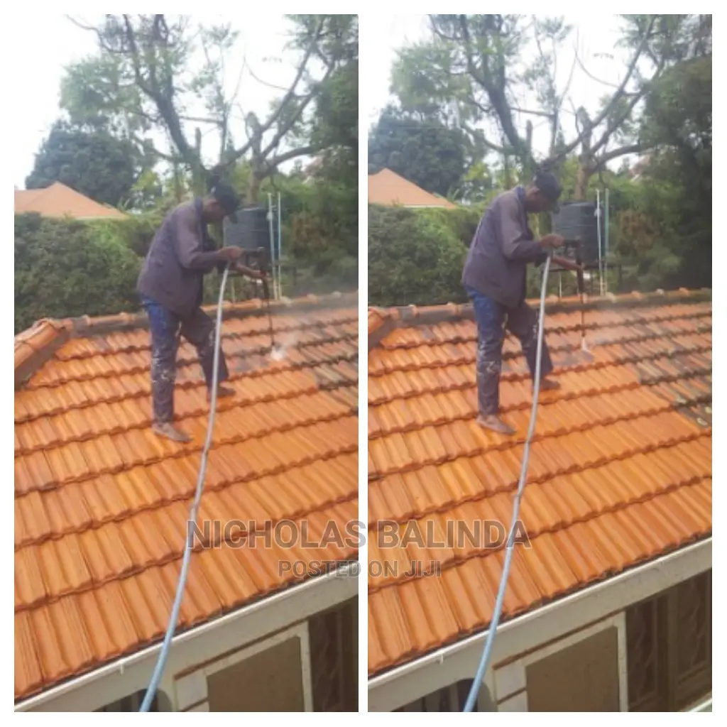 Specific Roof Tiles Cleaning