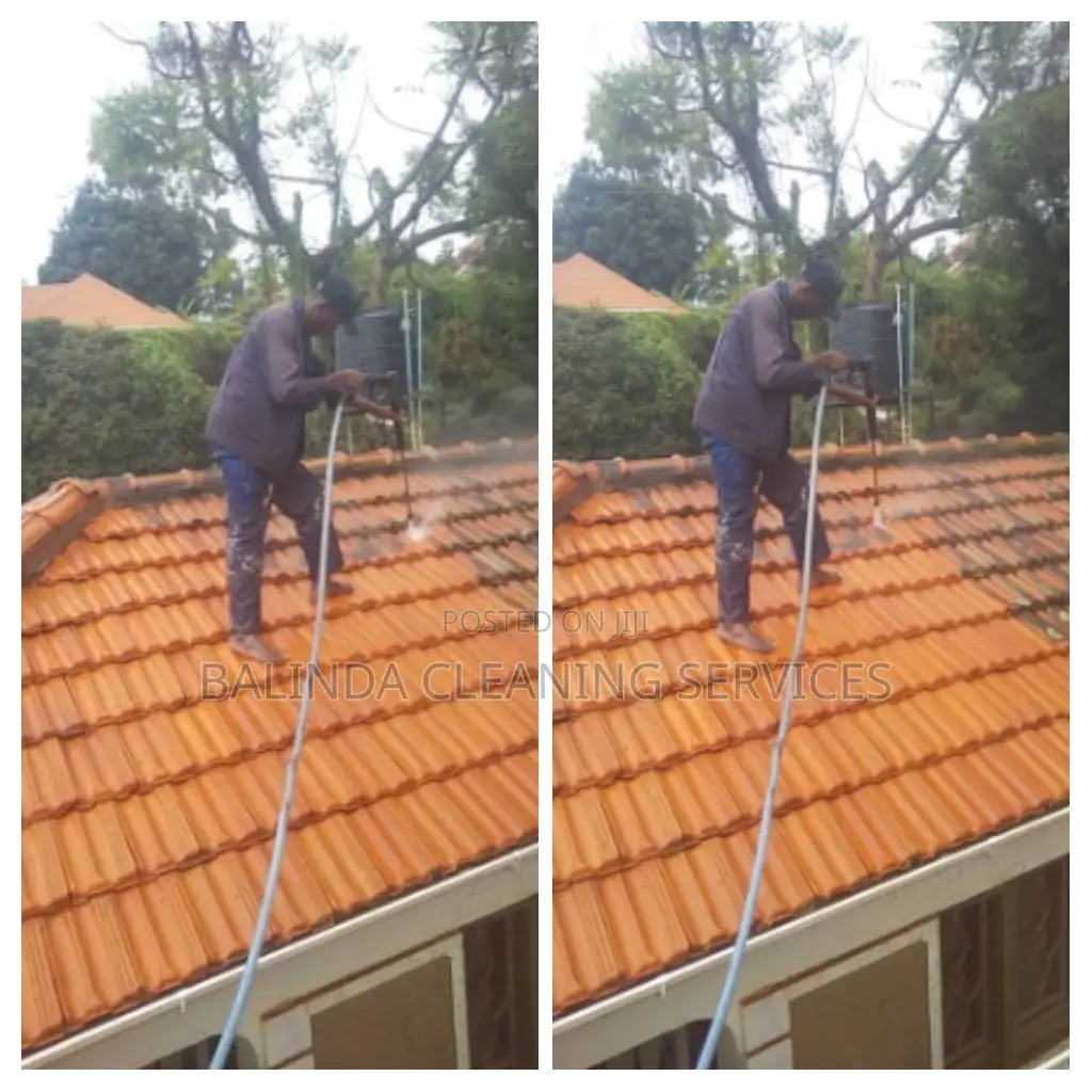 Specific Roof Tiles Cleaning