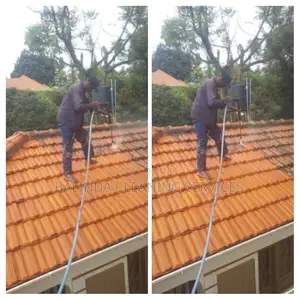 Specific Roof Tiles Cleaning