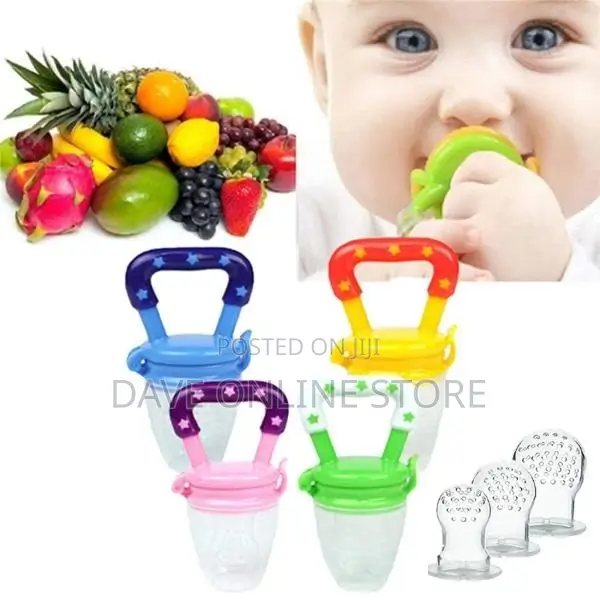 Baby Fruit Food Feeder.