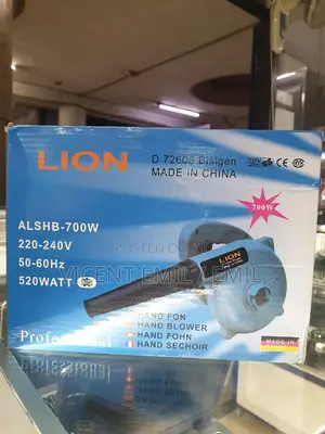 Electrical Blower Lion