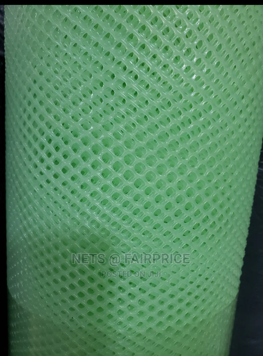 Plastic Half Inch Chicken Mesh
