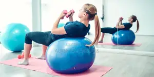 Exercise Ball/ Yoga Balls