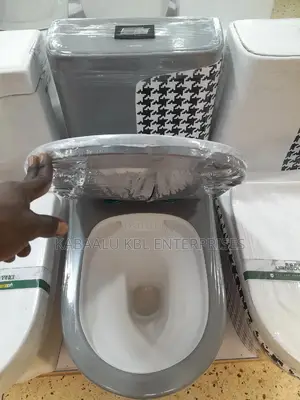 Executive Toilets