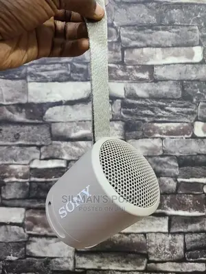 SONY Srs-Xb13 Speaker Gold