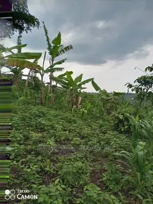 3acres of Land for Sale at Zirobwe Tongo