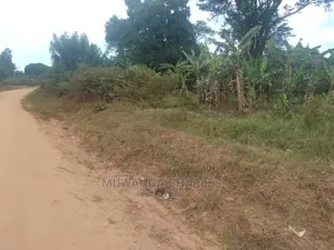 3acres of Land for Sale at Zirobwe Tongo