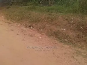 3acres of Land for Sale at Zirobwe Tongo