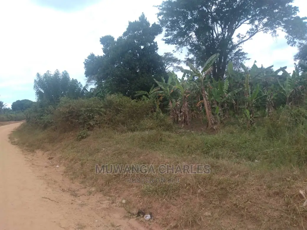 3acres of Land for Sale at Zirobwe Tongo