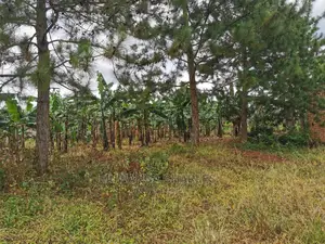 2acres of Land for Sale at Zirobwe