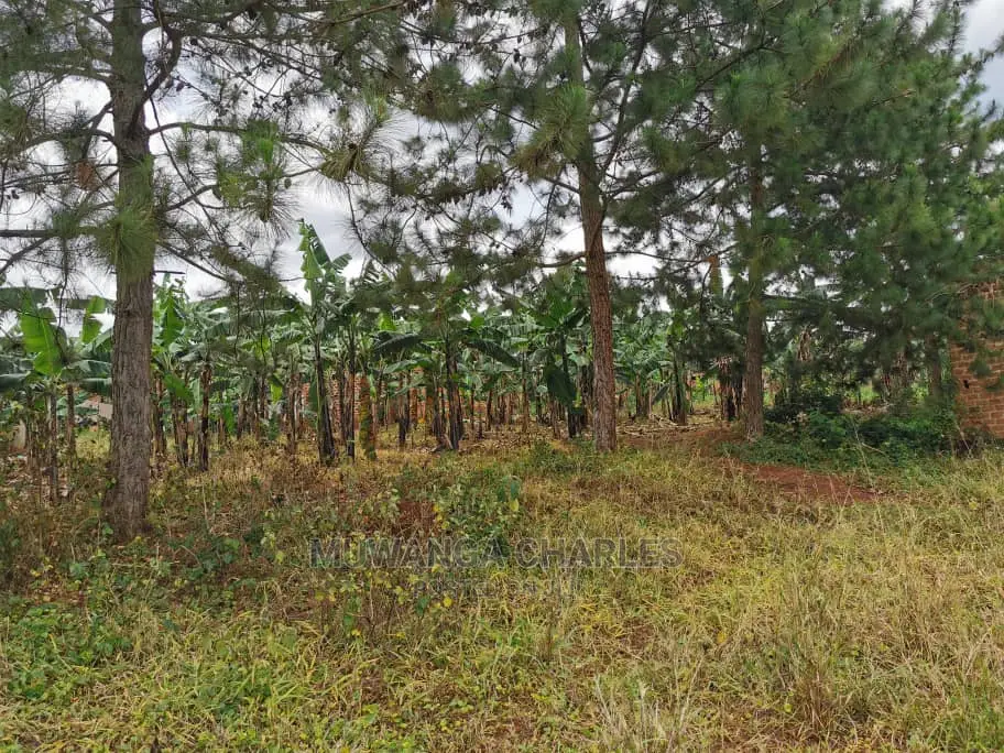 2acres of Land for Sale at Zirobwe